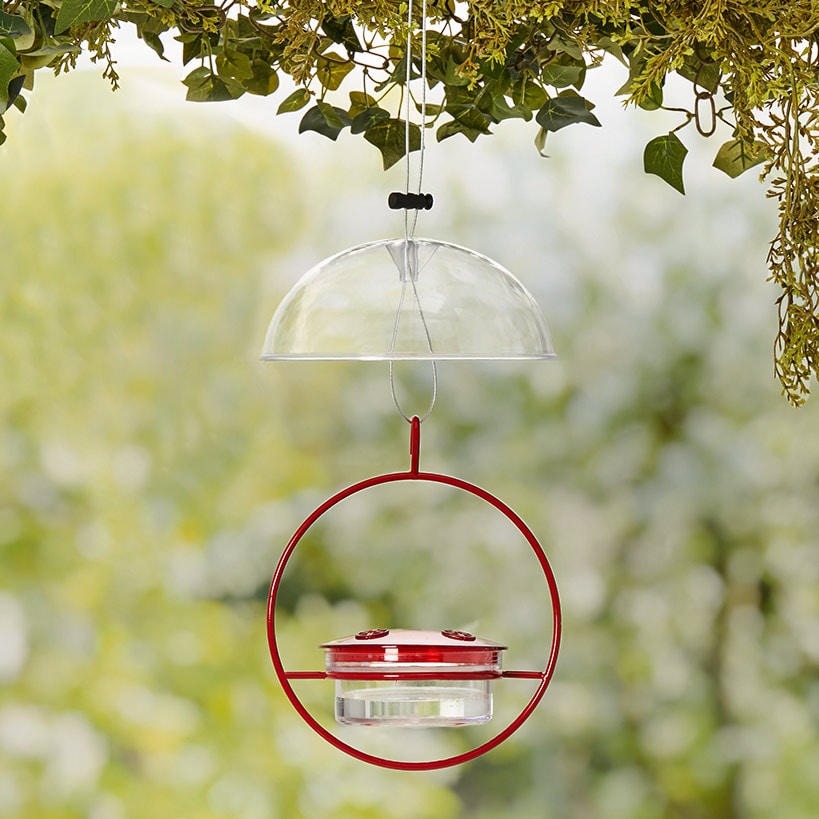 Red Hummingbird Feeder