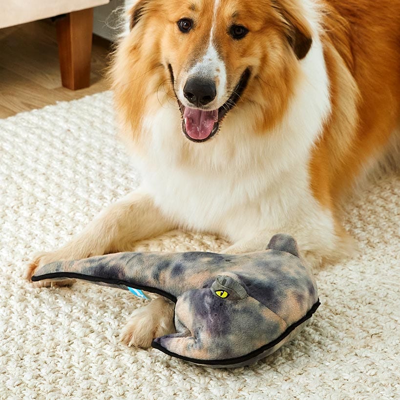 Animal Planet™ Pet Plush Stingray Toy With Squeaker