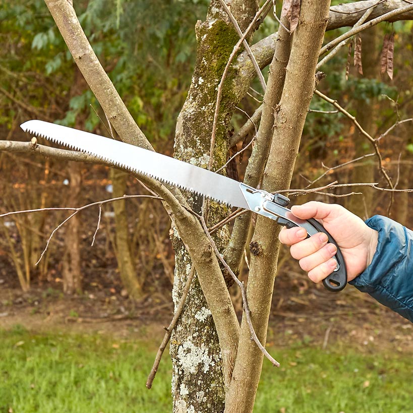 Pruning Gardening Hand Saw Tool With Ergonomic Design