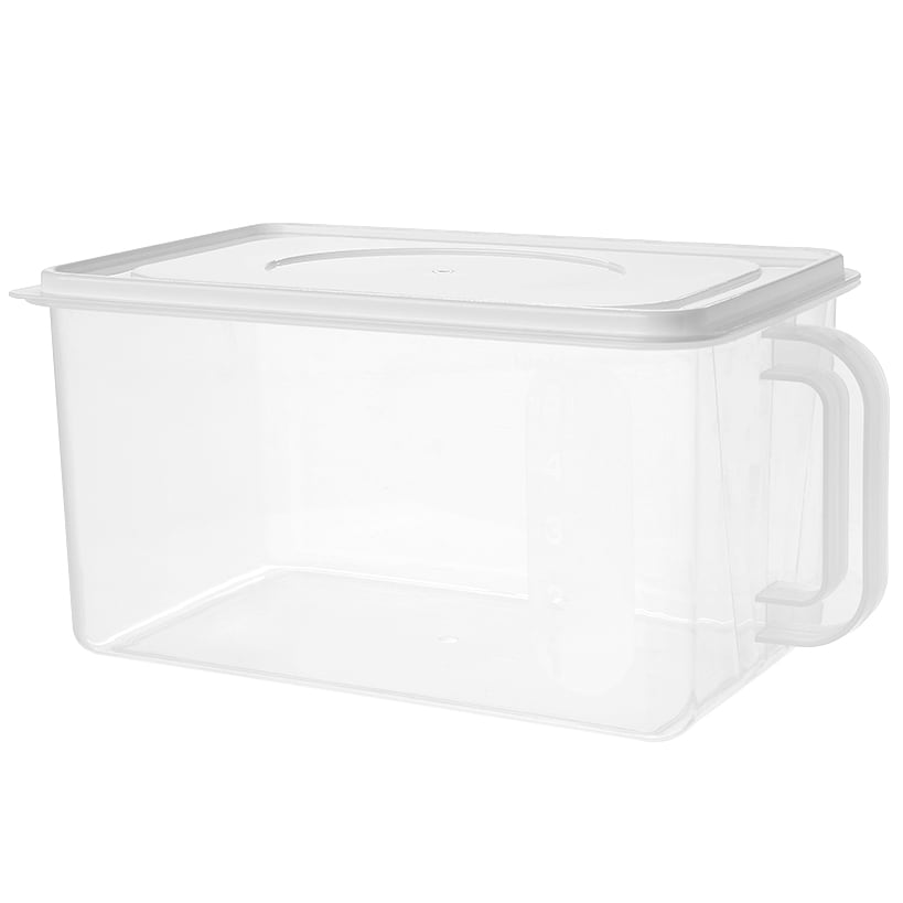 Large Food Storage Container with Lid and Handle