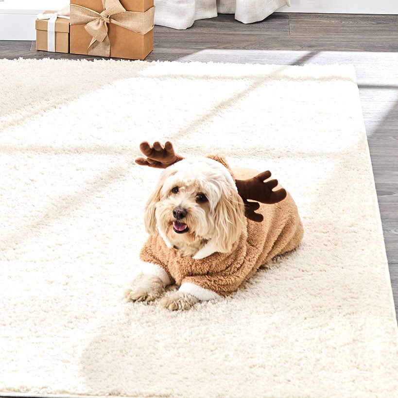 Pet Santa Or Reindeer Plush Fabric Costume With Hood