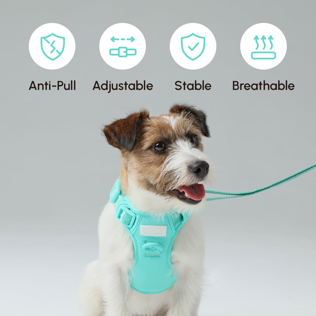 NO PULL ACTIVE PET HARNESS - MINT GREEN