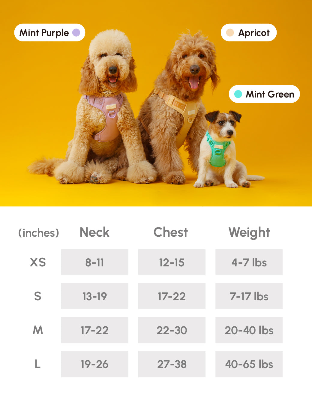 NO PULL ACTIVE PET HARNESS - MINT GREEN