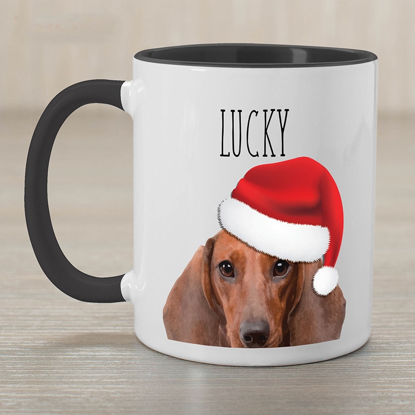 Personalized Christmas Pet Mug
