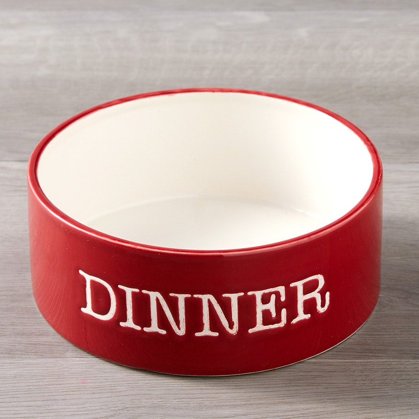 Pet Bowl