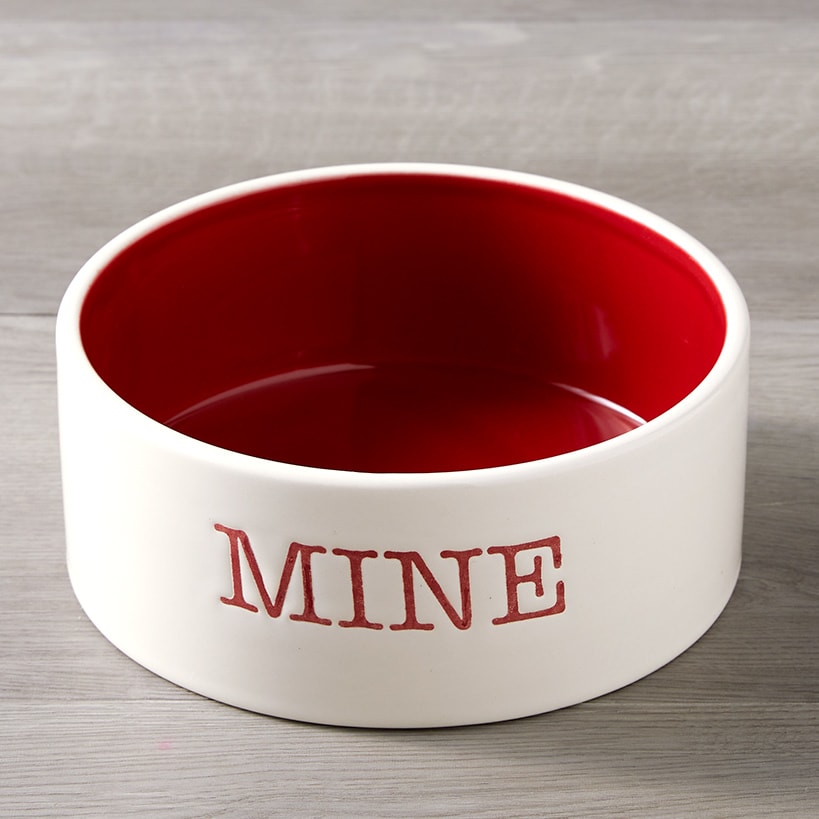 Pet Bowl