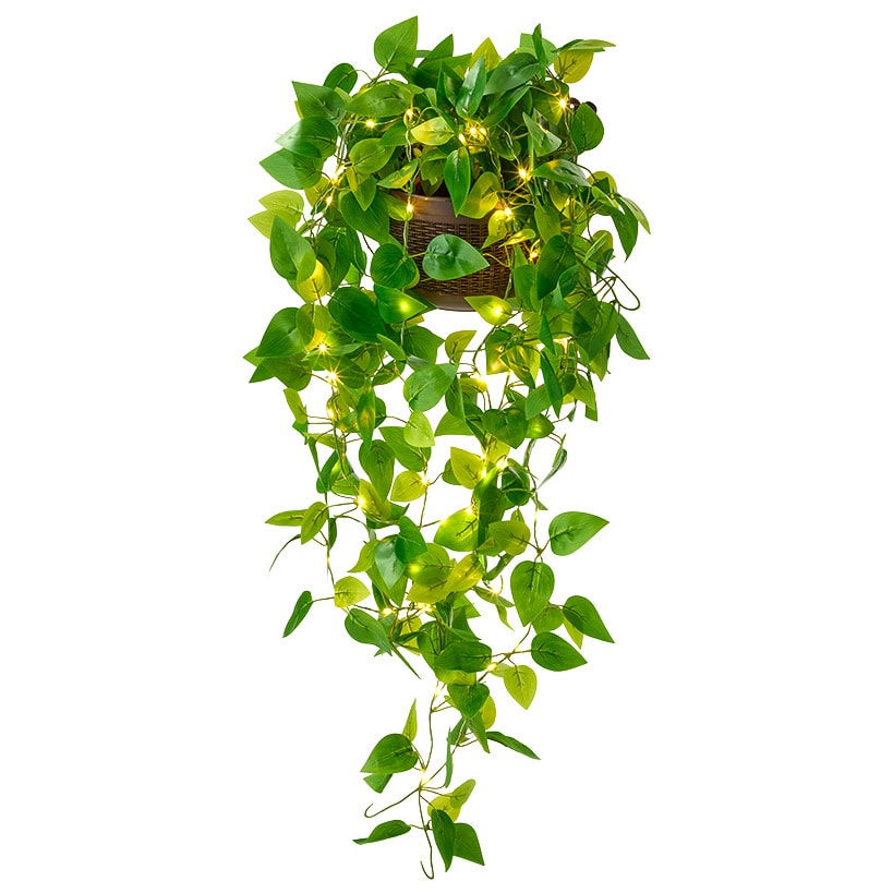 Lighted Wall Hanging Flower Cascade - Cottagecore