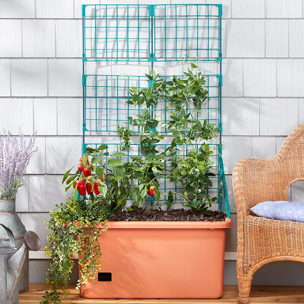 Planters