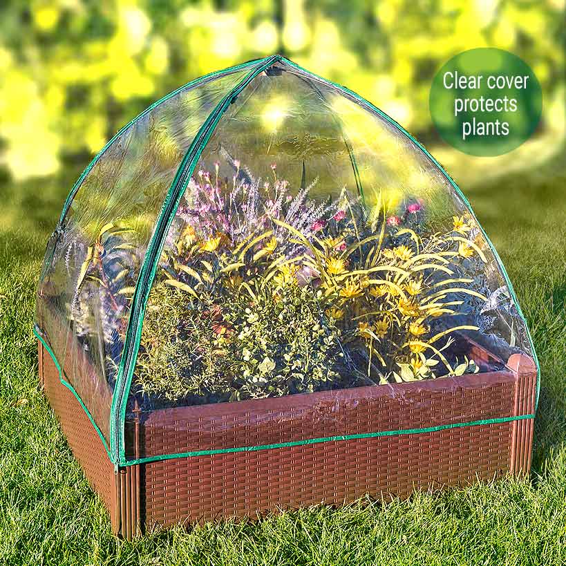 All-Weather Raised Garden Bed with Greenhouse Cover for Plants