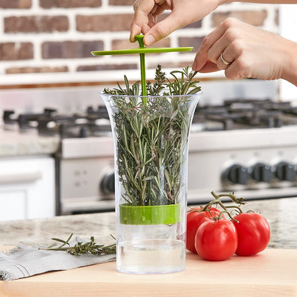 Easy-Pull Kitchen Herb Saver Storage for Refrigerator