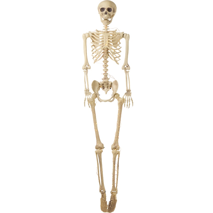 35-Inch Poseable Lighted Halloween Skeleton