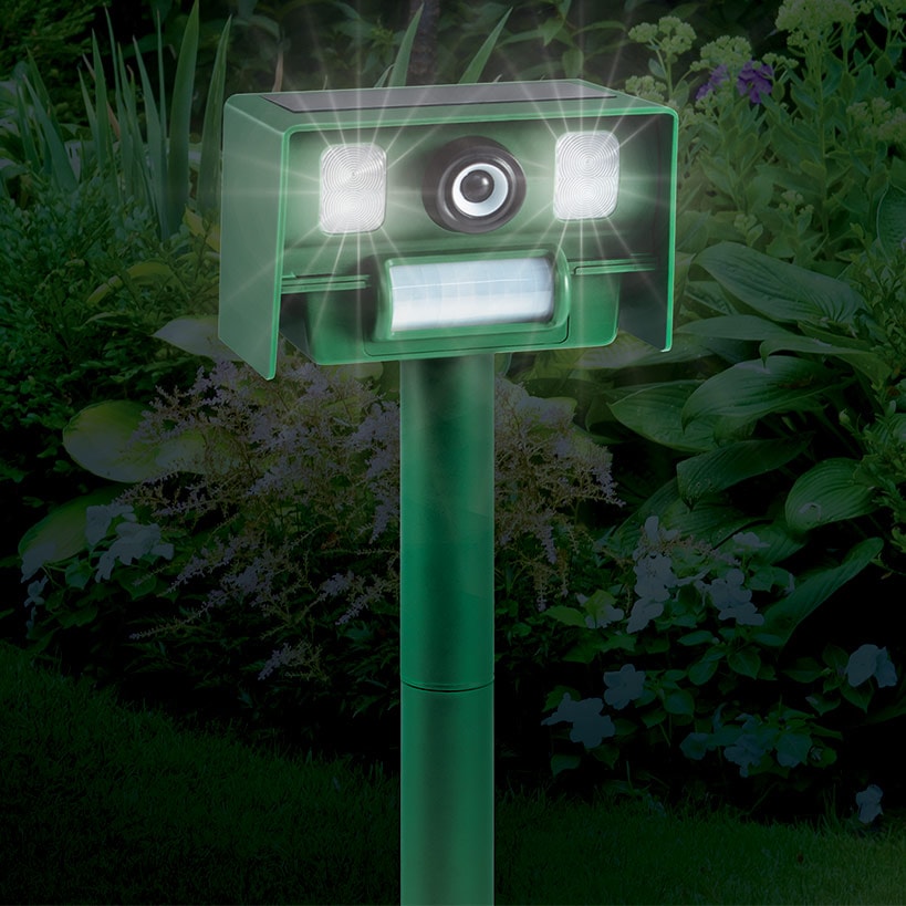 IdeaWorks® Solar Yard Garden Protector Ultra Sonic Animal Repeller