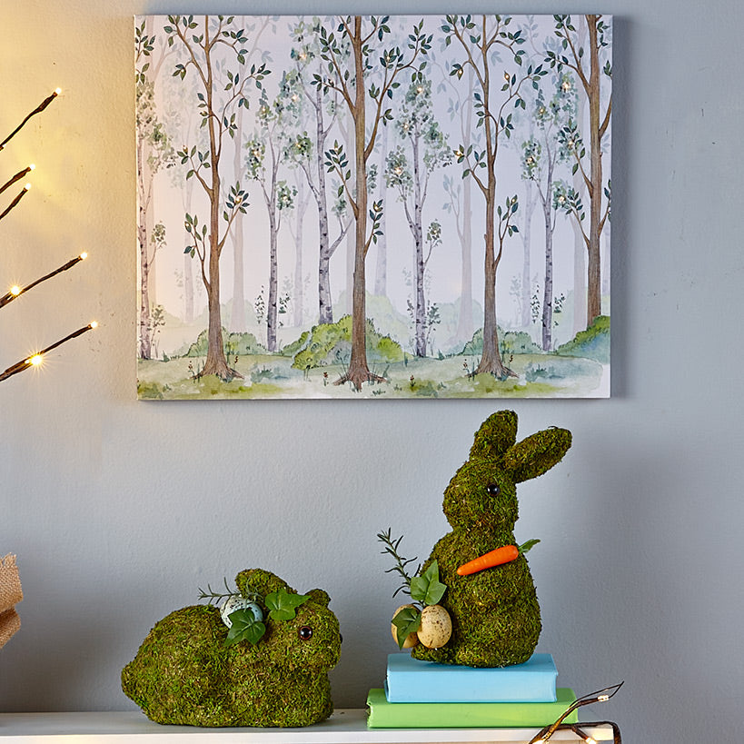Spring Woodland Forest Home Collection