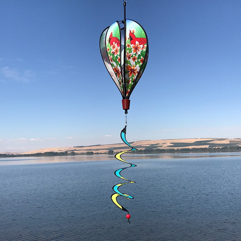 Hot Air Balloon