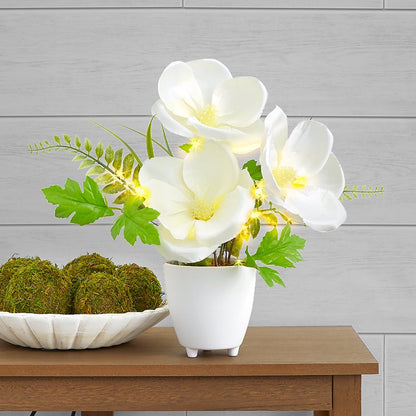 Lighted Spring Potted Flower Décor - Magnolia, Peony, or Sunflower