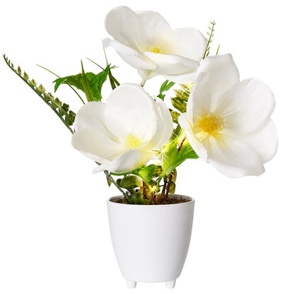 Lighted Potted Flower Spring Décor - Magnolia or Peony