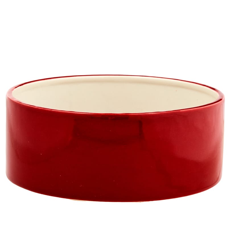 Pet Bowl