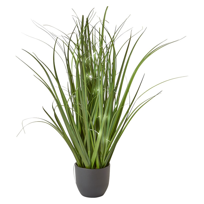 Lighted Flower Indoor Potted Plant
