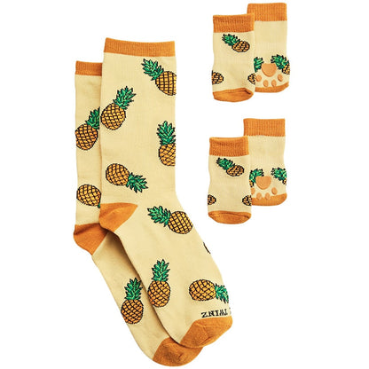 Pet and Owner Socks
